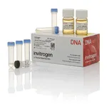 Thermo Fisher Scientific Library Efficiency DH5α Competent Cells