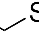 Merck PROPARGYL ETHYL SULPHIDE-