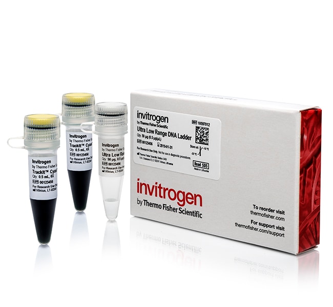 Thermo Fisher Scientific Ultra Low Range DNA Ladder