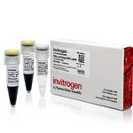 Thermo Fisher Scientific Ultra Low Range DNA Ladder