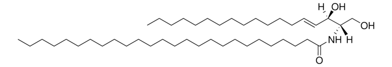 Merck C26:0 Ceramide (d18:1/26:0)