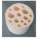 Thermo Fisher Scientific Shaker Accessories for MaxQ High Performance Shakers, vial/tube foam insert