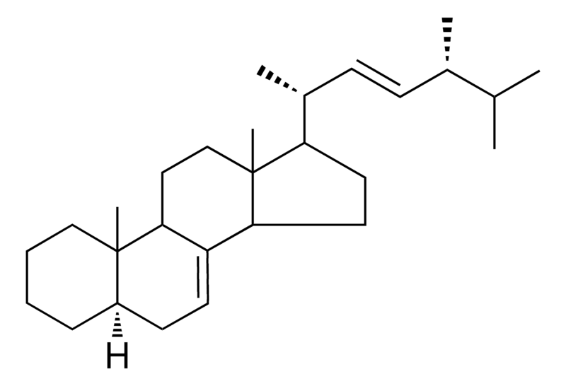 Merck (22E)-5-ALPHA-ERGOSTA-7,22-DIE - 1 MG&