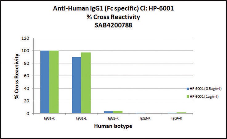 Merck Anti-Human IgG1 (Fc specific) antibody, Mouse monoclonal