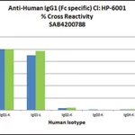 Merck Anti-Human IgG1 (Fc specific) antibody, Mouse monoclonal