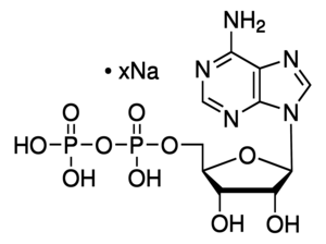 Merck ADENOSINE 5``-DIPHOSPHATE SODIUM FROM