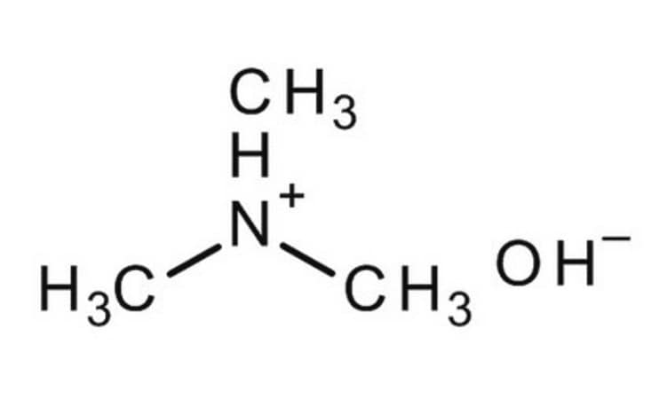 Merck TRIMETHYLAMINE (40% SOLUTION IN WATER)