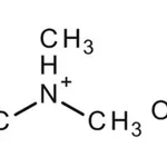 Merck TRIMETHYLAMINE (40% SOLUTION IN WATER)
