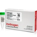 Thermo Fisher Scientific Lambda Hind III dsDNA Markers