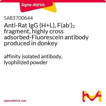 Merck Anti-Rat IgG (H+L), F(ab')2 fragment, highly cross adsorbed-Fluorescein antibody produced in donkey