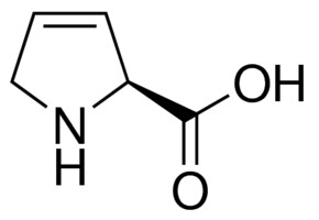 Merck 3,4-DEHYDRO-L-PROLINE