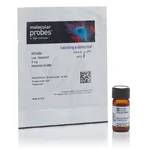 Thermo Fisher Scientific Hoechst 34580