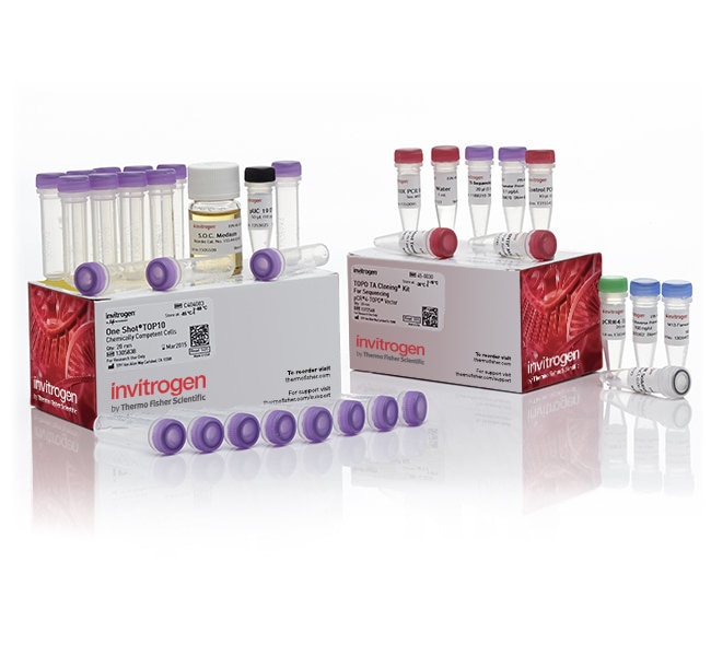 Thermo Fisher Scientific TOPO TA Cloning Kit for Sequencing, with One Shot TOP10 Chemically Competent E. coli, 25 Reactions