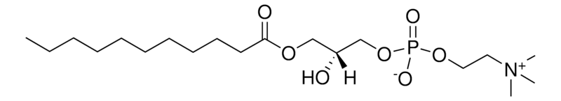 Merck 11:0 Lyso PC