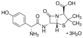 Merck AMOXICILLIN