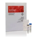 Thermo Fisher Scientific Measure-IT Thiol Assay Kit