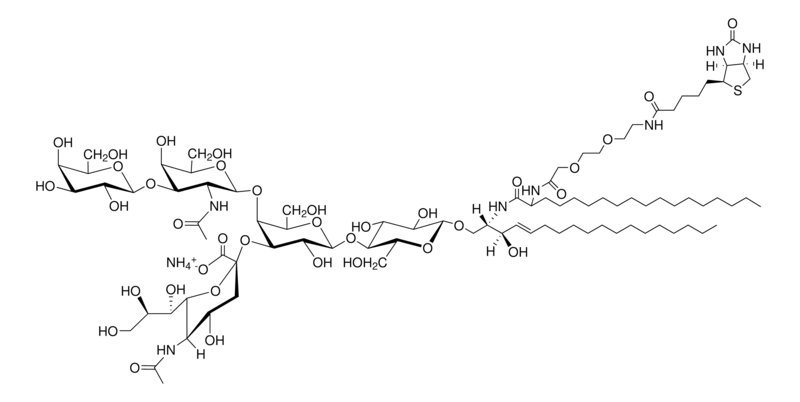 Merck C18:0 GM1-Biotin (synthetic)