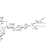Merck C18:0 GM1-Biotin (synthetic)