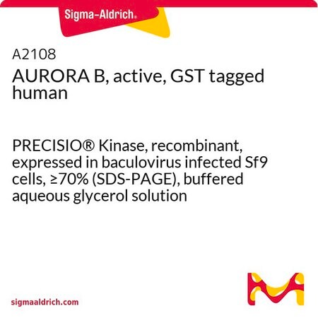 Merck AURORA B, active, GST tagged human