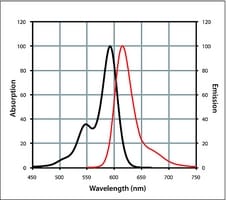 Merck ANTI-RABBIT IGG (H+L), CF594