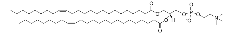 Merck 24:1 (Cis) PC