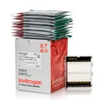 Thermo Fisher Scientific E-Gel Double Comb Agarose Gels with SYBR Safe DNA Gel Stain, 1%, 10 Gels