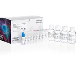 Thermo Fisher Scientific Human Dopaminergic Neuron Immunocytochemistry Kit