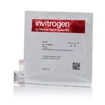 Thermo Fisher Scientific SYBR Green I Nucleic Acid Gel Stain - 10,000X concentrate in DMSO, 500 μL