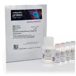 Thermo Fisher Scientific Metabolic Activity Dead Cell Apoptosis Kit with C12 Resazurin, Annexin V APC, and SYTOX Green, for flow cytometry