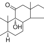 Merck 9-ALPHA,16-BETA-DIHYDROXY-5-AL - 1 MG&