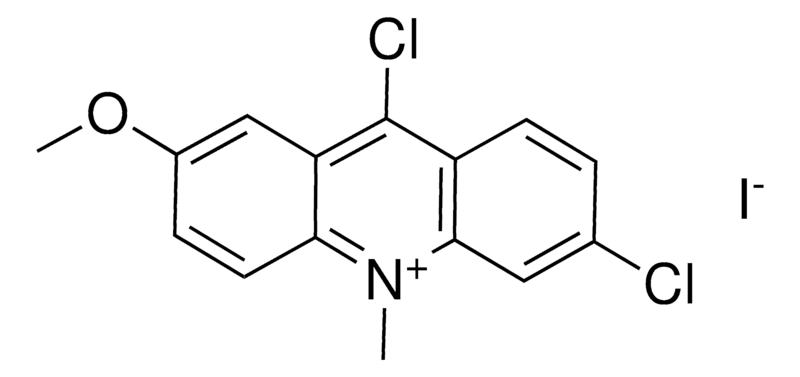 Merck 6,9-DICHLORO-2-METHOXY-N-METHYLA-
