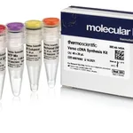 Thermo Fisher Scientific Verso cDNA Synthesis Kit, 40 reactions