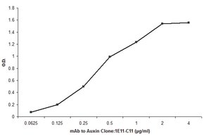 Merck ANTI-AUXIN ANTIBODY, MOUSE MONOCLONAL, &