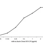 Merck ANTI-AUXIN ANTIBODY, MOUSE MONOCLONAL, &
