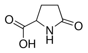 Merck 2-PYRROLIDONE-5-CARBOXYLIC ACID, 99%