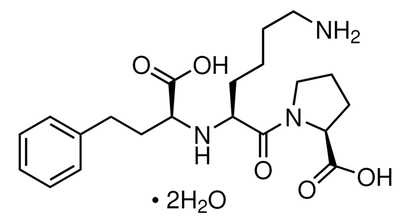 Merck Lisinopril