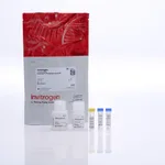 Thermo Fisher Scientific EnzChek Phosphate Assay Kit