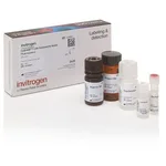 Thermo Fisher Scientific CyQUANT LDH Cytotoxicity Assay, fluorescence, 200 Assays