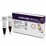 Thermo Fisher Scientific GeneRuler 50 bp DNA Ladder, ready-to-use