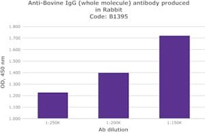 Merck ANTI-BOVINE IGG (WHOLE MOLECULE)       &