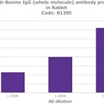 Merck ANTI-BOVINE IGG (WHOLE MOLECULE) &