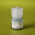Thermo Fisher Scientific Pierce LDS Sample Buffer, Non-Reducing (4X)