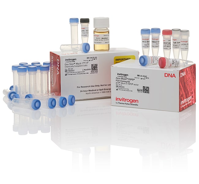 Thermo Fisher Scientific Zero Blunt TOPO PCR Cloning Kit for Subcloning