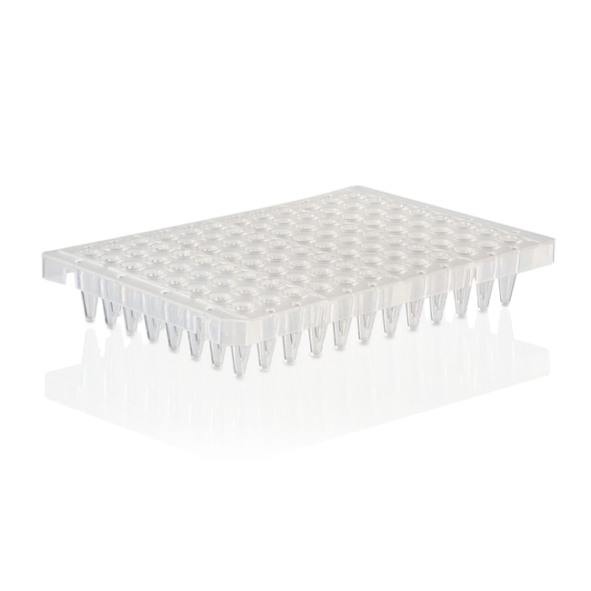 Thermo Fisher Scientific PCR Plate, 96-well, segmented, semi-skirted, Sustain Series