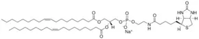 Merck 18:1 BIOTINYL PE
