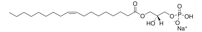 Merck 18:1 Lyso PA