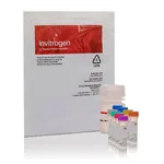 Thermo Fisher Scientific Amplex Red Neuraminidase (Sialidase) Assay Kit
