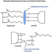 Merck 20 GM SUPEL QUE Z-SEP+