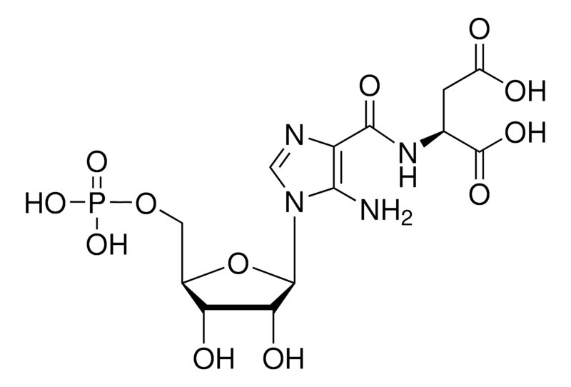 Merck SAICAR