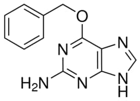 Merck O6-BENZYLGUANINE